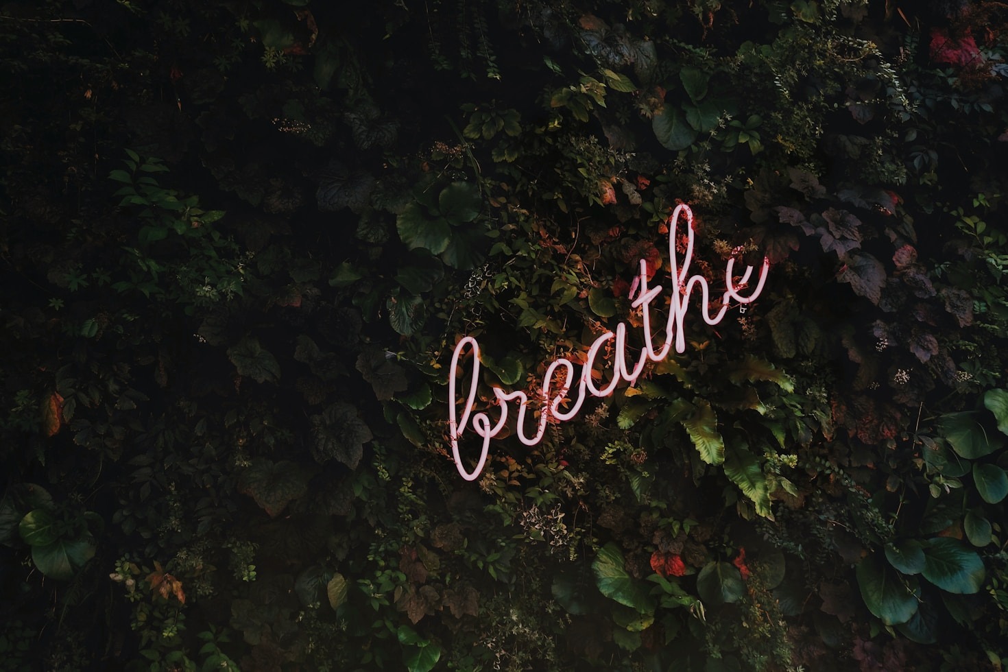Top Strategies for Managing Stress at Work